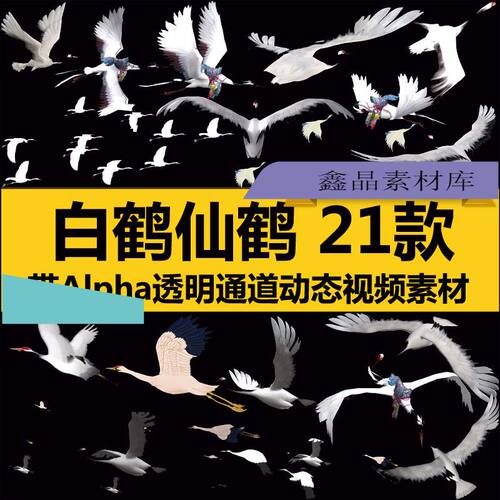 白仙鹤群飞翔AE会声会影ED制作带Alpha透明通道视频后期动态素材