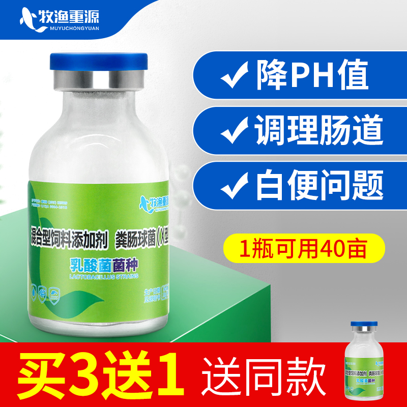 水产养殖改善肠道乳酸菌牧渔重源