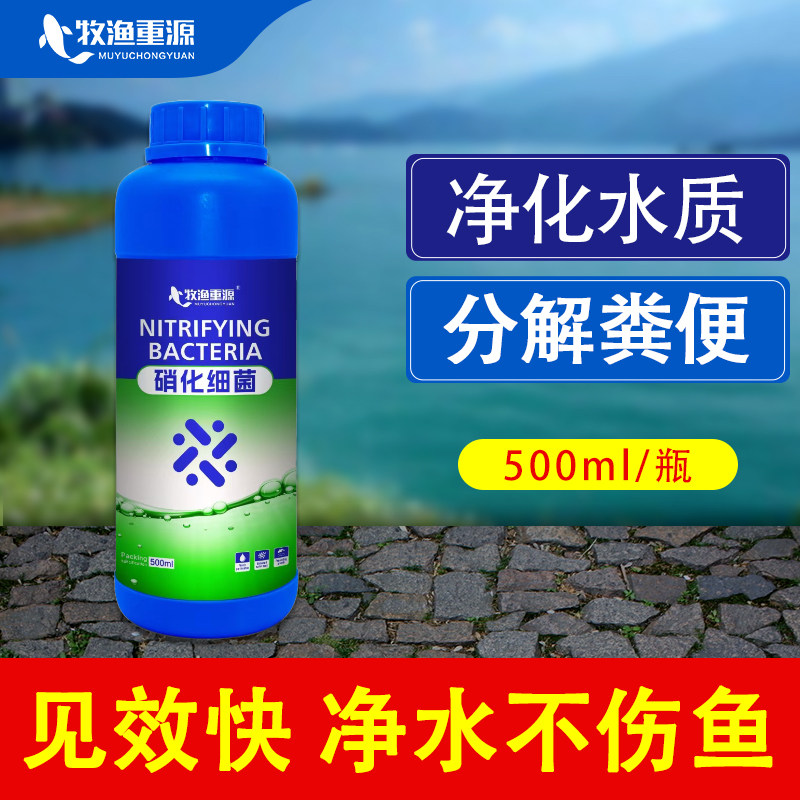 硝化细菌鱼缸专用净水剂养鱼净化水质稳定剂分解鱼粪便残饵活菌液