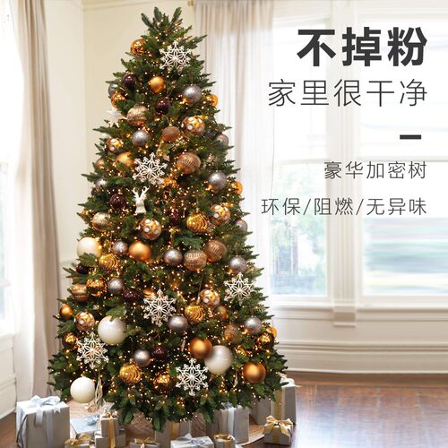 圣诞树家用小型加密圣诞节装饰品