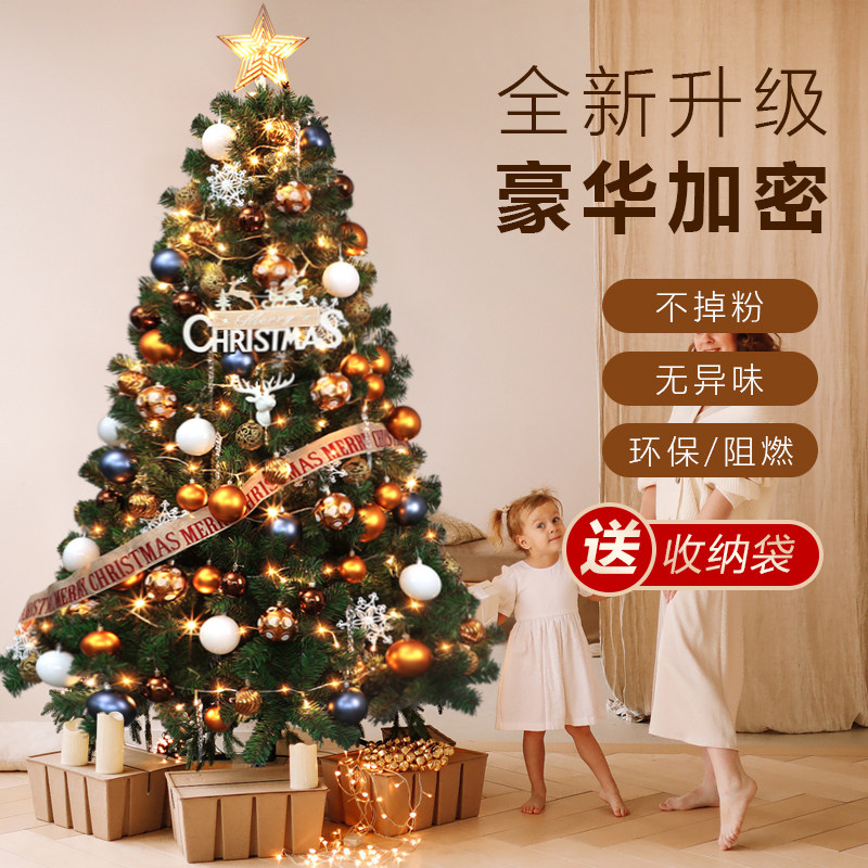圣诞树2025新款家用套餐摆件圣诞节高级感ins风diy装饰品小型仿真