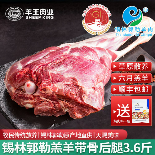 锡林郭勒大草原散养6月羔羊
