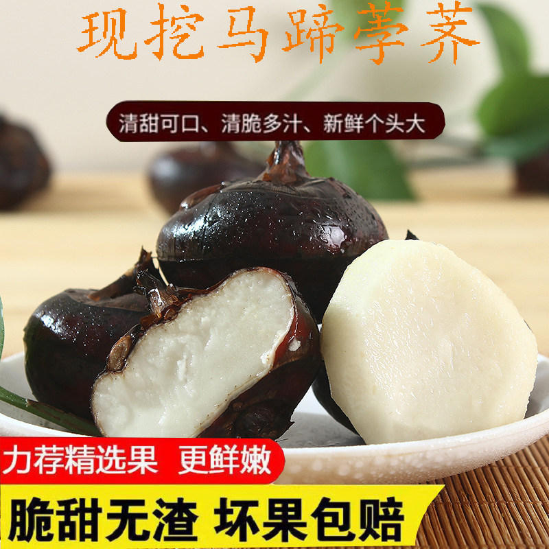 马蹄荸荠新鲜蔬菜当季水果农家