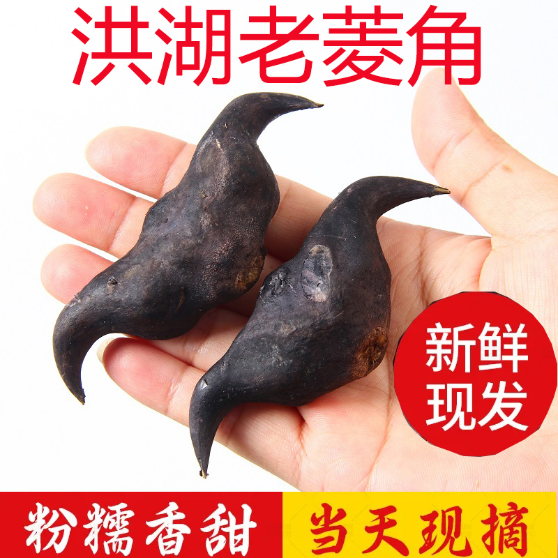 新鲜洪湖菱角现摘现发