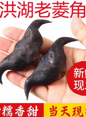 新鲜洪湖菱角现摘现发