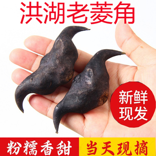 洪湖菱角新鲜生棱角现摘青菱角粉糯老莲角黑凌角湖北特产时令蔬菜