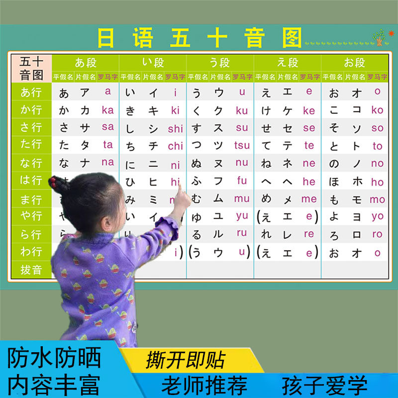 日语五十音图发音单元平假名片假名笔画笔顺贴纸海报贴图墙贴挂图