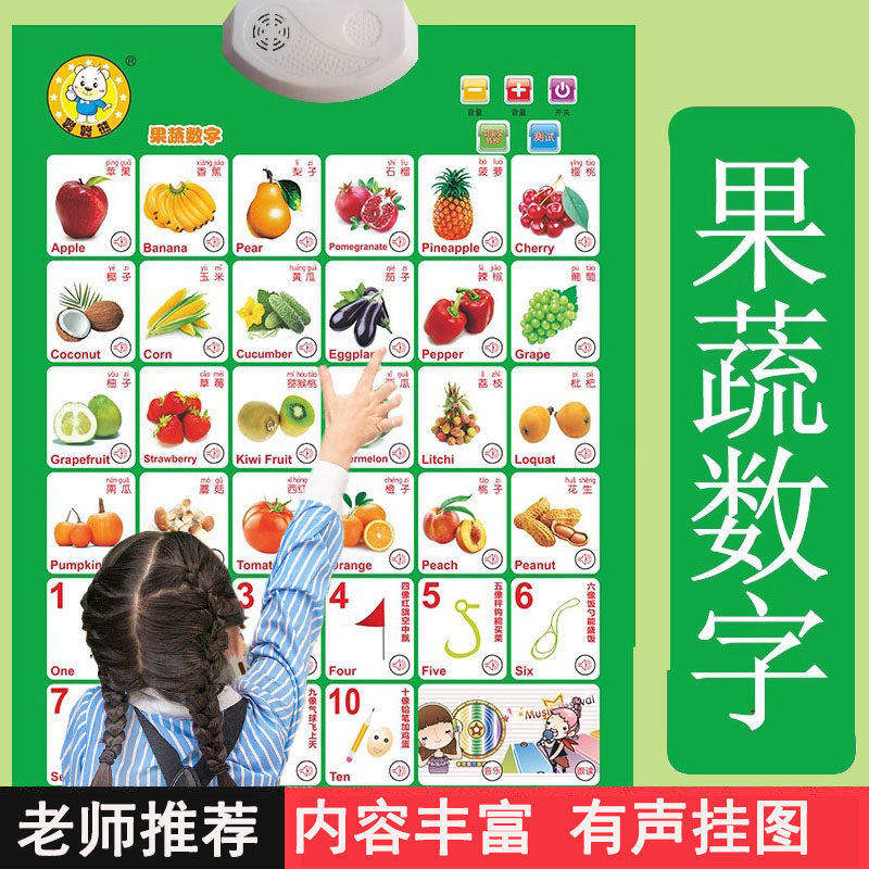人物儿童有声挂图宝宝认识动物水果蔬菜书数字发音3d图片读物识别
