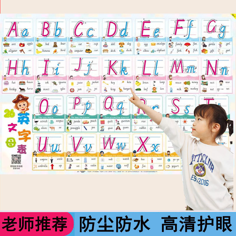 26个英文字母表挂图标准书写小学生英语 aoe汉语拼音表大小写墙贴