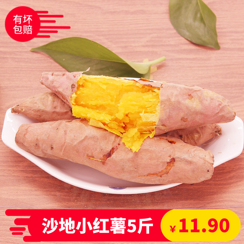 开封沙地新鲜红薯5斤批发农家现挖正宗黄心香甜地瓜番薯山芋包邮