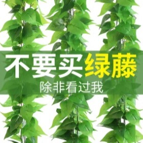 仿真常春藤爬山虎假树叶绿藤蔓塑料花藤水管道遮挡空调绿提叶壁挂