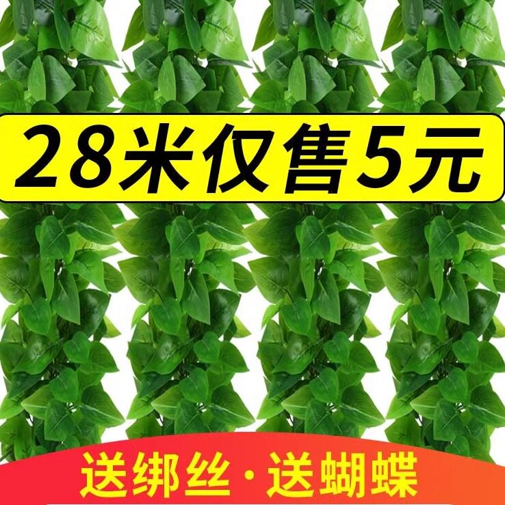 墙面挂饰仿真绿植物藤条绿叶吊顶装饰假花藤蔓阳台遮丑塑料葡萄叶