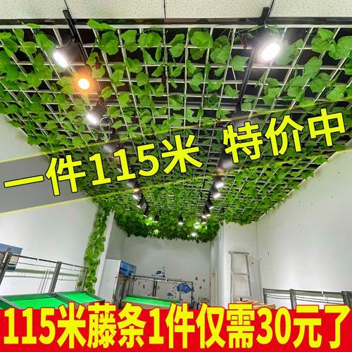 仿真藤条葡萄叶悬吊式天花板装饰假花管道缠绕藤蔓爬山虎塑料黄金