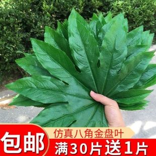 仿真八角金盘叶子水果店装 饰用品假树叶葡萄陈列绿叶水果摊草坪垫