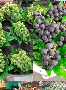 仿真八角金盘大片叶子水果店摆放装饰品超市果蔬草坪垫子绿叶装扮