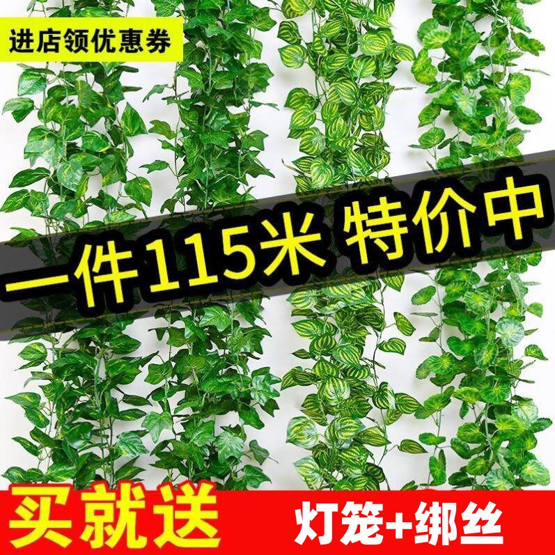 墙面挂饰绿植仿真葡萄叶爬山虎植物藤条绿萝藤蔓装饰管道吊顶绿叶