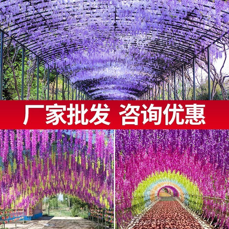 仿真紫藤花串豆瓣花藤紫罗兰藤条装饰假藤蔓婚庆绿植物树叶子吊顶