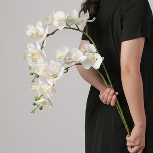 仿真花蝴蝶兰花束超自然湿感假花摆件装饰点缀造景家用客厅高级感