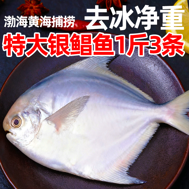 海捕银鲳鱼4斤12条白鲳鱼鲜活