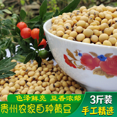 贵州土黄豆毕节大方农家黄豆打豆浆发豆芽磨豆腐新豆三斤散装 包邮
