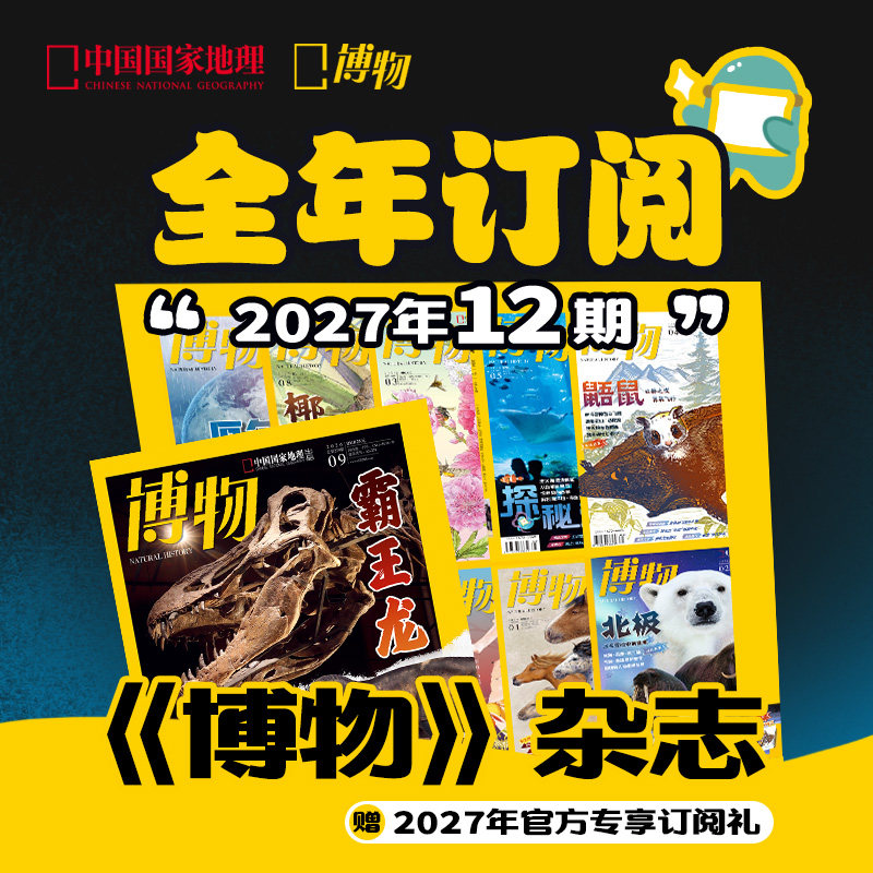 中国国家地理博物杂志2027全年2026全年订阅青少年科普课外读物期刊科学杂志年刊官方订阅