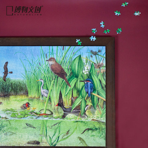 博物生态系统拼图高原流石滩拼图