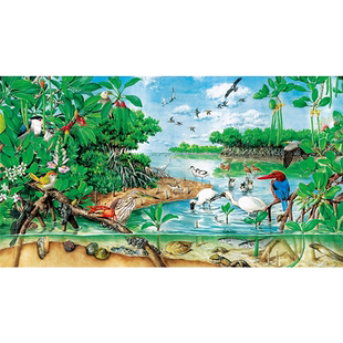 博物文创 | 生态系统大拼图章鱼哥精美手绘 高原流石滩1000块拼图