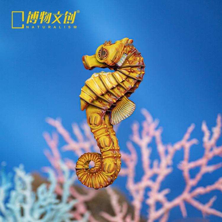 博物文创海洋系列三斑海马纸模
