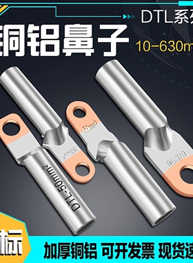 DTL铜铝鼻子接线端子国标10/16/35/50-630平方过渡连接线端子