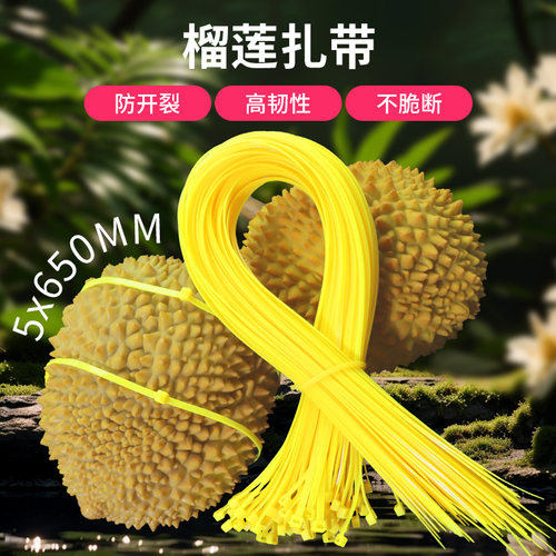 5*650黄色榴莲扎带强拉力强韧性