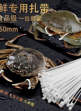 螃蟹扎带8x250mm三门蟹青蟹蝤蠓专用尼龙扎带强力塑料25公分捆绑