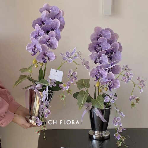 蝴蝶兰专用花盆高级网红奶油风