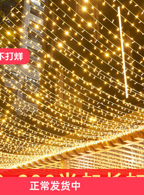 led彩灯闪灯串灯满天星户外防水星星灯树灯24V低压街道工程氛围灯