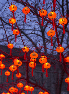 挂树上的红灯笼彩灯过新年装饰灯户外亮化院子氛围灯串太阳能灯笼