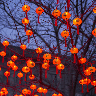 挂树上的红灯笼彩灯过新年装饰灯户外亮化院子氛围灯串太阳能福字