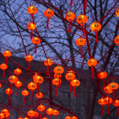 太阳能/插电款红灯笼春节装饰