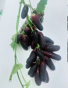 现摘现发顺丰速运萧县张村果缘浪漫蓝宝石葡萄五斤江浙沪皖包邮