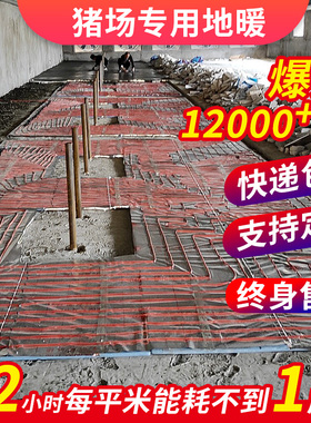 猪用碳纤维地暖猪场仔猪地暖石墨烯电地暖养殖地暖取暖猪用养殖场