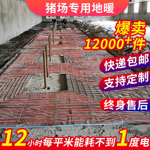 仔猪养殖地暖猪取暖猪用电热毯