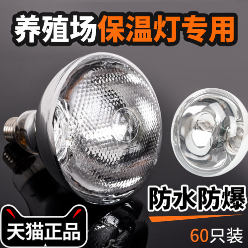 养殖保温灯猪用取暖灯