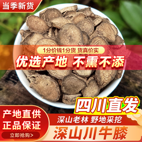 川牛膝中药材正品四川特级牛夕正宗河南焦作500g泡水非野生怀牛膝
