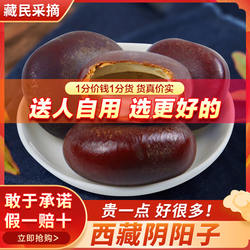 西藏阴阳子非野生特级正品500g双肾子过江龙泡酒料配风流果中药材