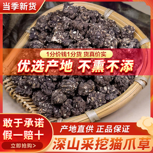 野生特级深山新货无硫猫爪草