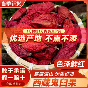 西藏精选鬼臼果中药材250g包邮新货无硫桃儿七八角莲非野生泡水喝