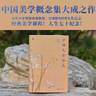 【新华网】中国美学要义(北京大学博雅讲席教授、文津图书奖得主朱良志经典美学课程!