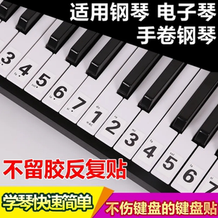 49键电子琴手卷琴琴键贴简谱音标贴 自学钢琴键盘贴纸88