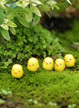 苔藓微景观装饰摆件小黄鸡沙盘造景假山动物迷你黄色小鸡多肉配饰