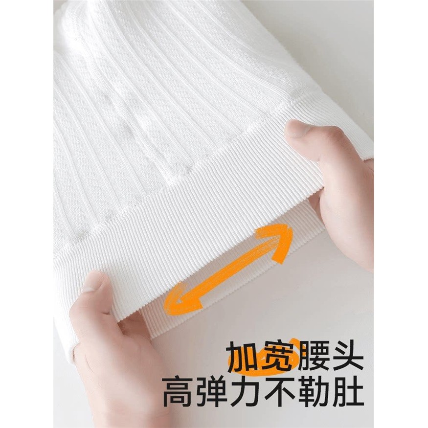 婴儿连裤袜春秋棉宝宝打