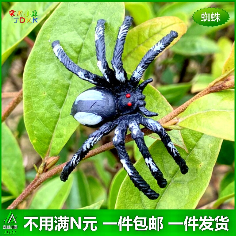 蜘蛛蚂蚁塑胶套装玩具包邮
