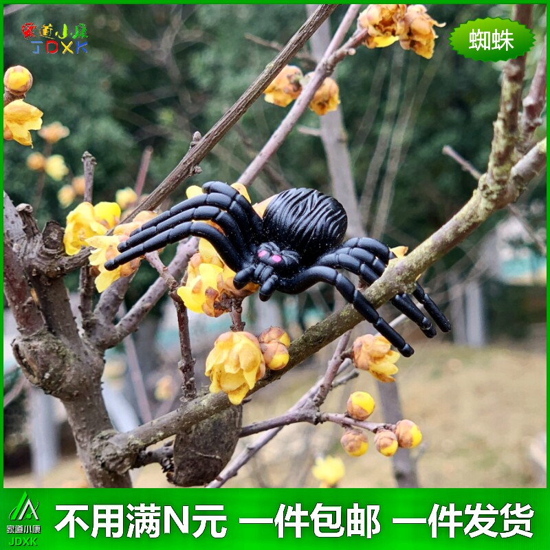 儿童玩具动物模型包邮